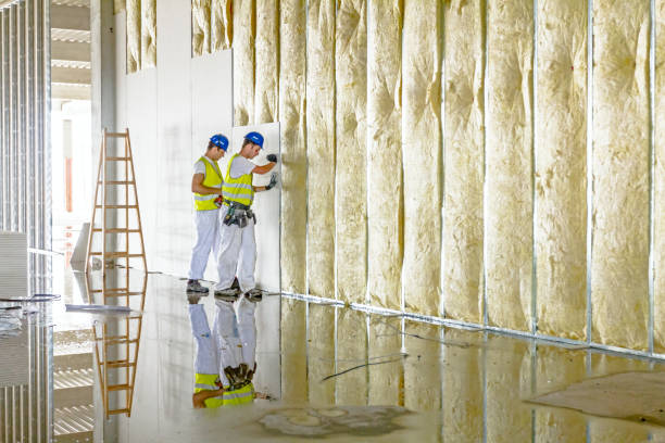 Best Insulation for Specific Applications in Citrus Heights, CA
